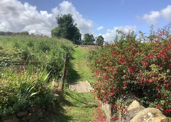 Balmungo Cottage B&B